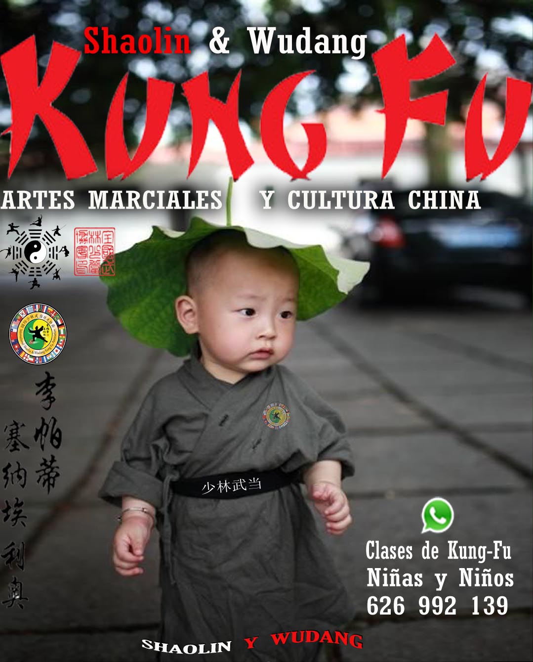 Clases de kung fu para niñas, niños.