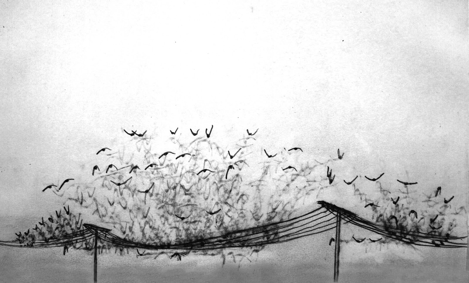 Outer Rim Stuttgart E V Juli 2012