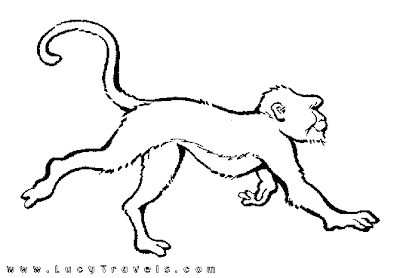 africa safari wildlife monkey coloring pages