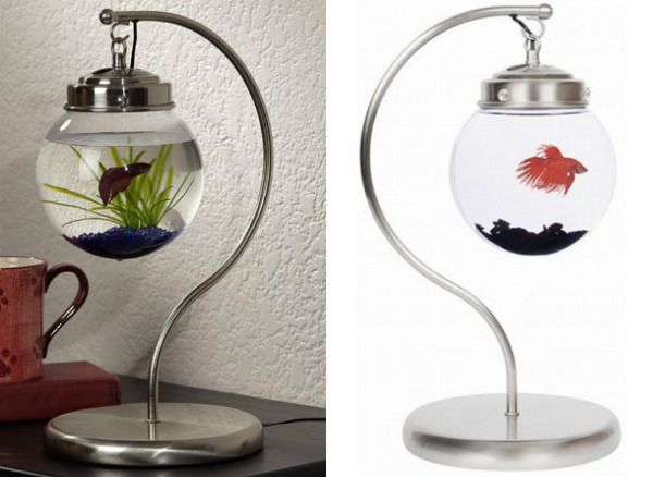 20 creative and unusual