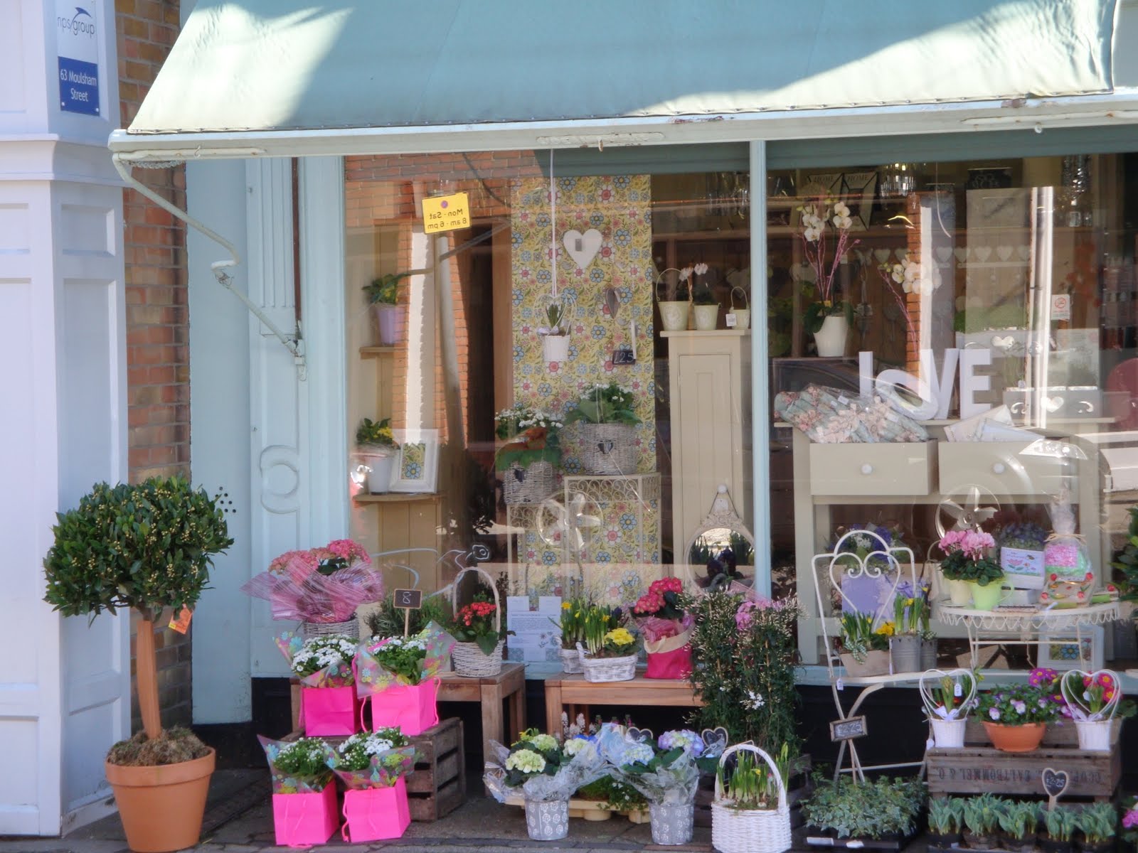 Coote Mother's Day Window Pattern Design for Springfield Florist