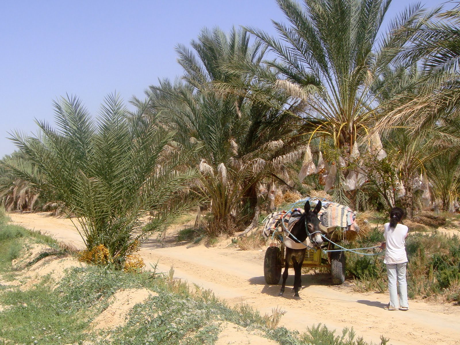 rencontre med it tunisie 2011