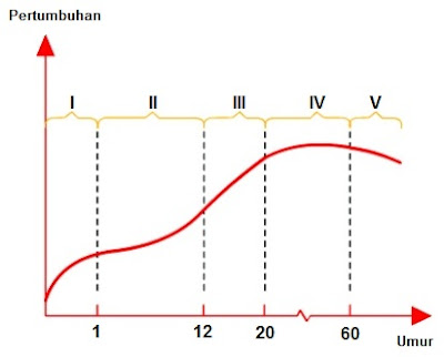 Sains 1 2 3 Corak Pertumbuhan Manusia Sains 1 2 3 Corak Pertumbuhan Manusia