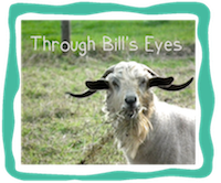 Bill's Blog