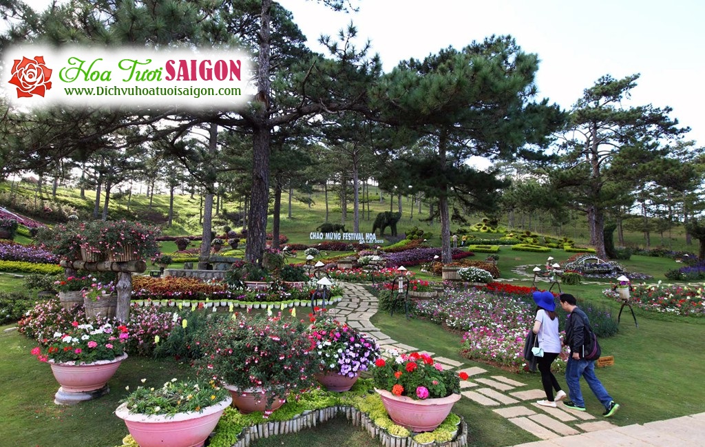 [Image: Nhin-lai-ve-dep-festival-Hoa-Da-Lat-2015-1.jpg]