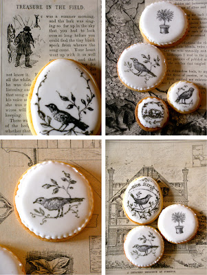 bird bird biscuit batch bird bird biscuit batch