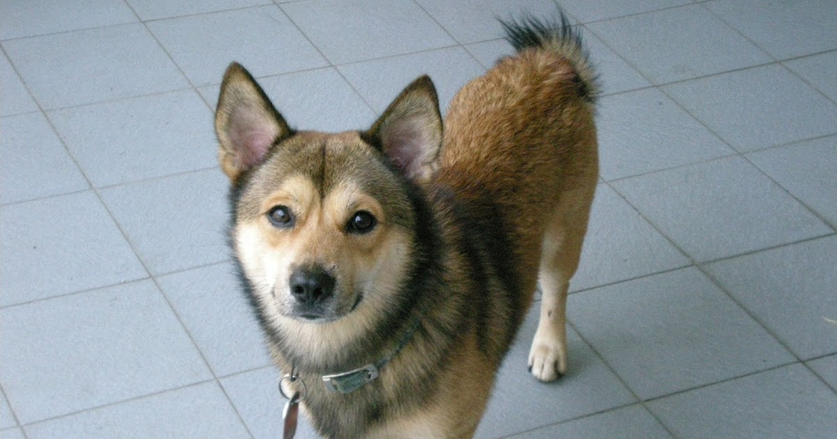 Try Your Best Unit 1 THE WORLD OF LIVING THINGS