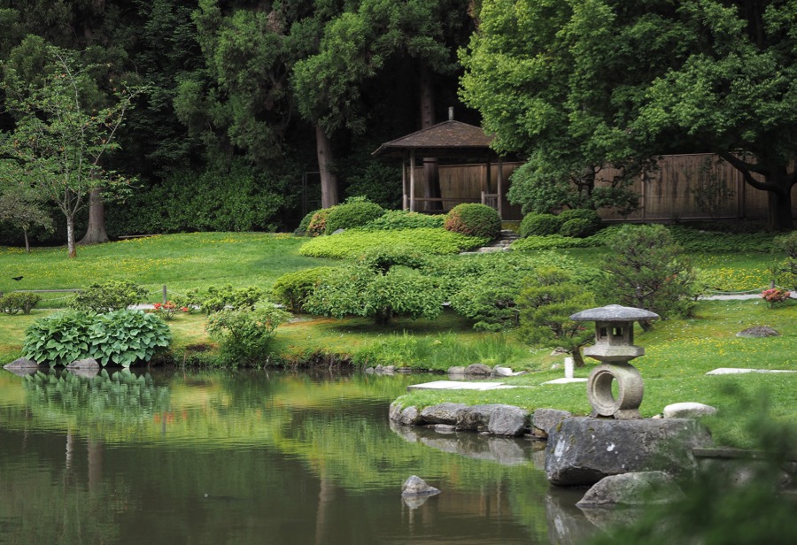 USA: Seattle Japanese Garden - A Slice of Kyoto in the Pacific