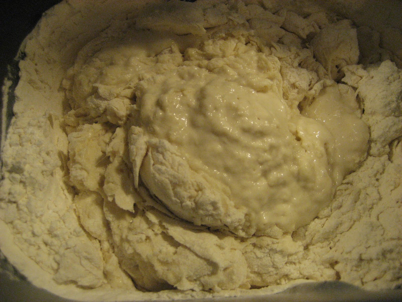 frugalhayman Homemade Flour Tortilla Recipe In a Bread Machine