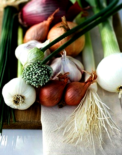 Stay Strong Kitty Foods Your Cat Should Never Eat