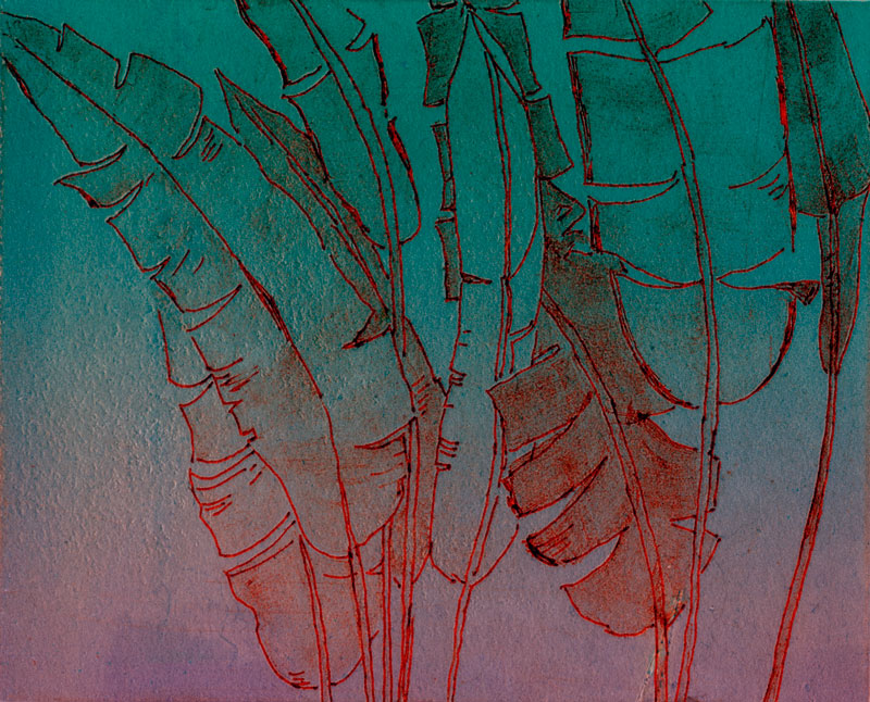 GARDEN SKETCHABOUT The Royal Botanic Garden, Sydney Solar plate