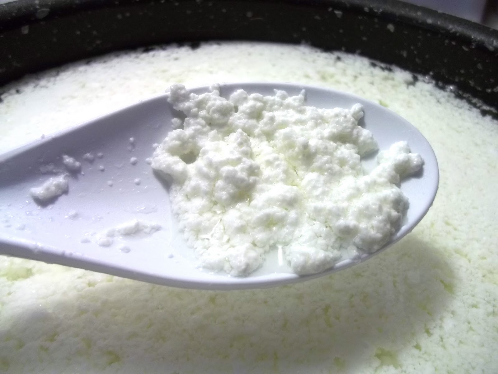Cottage Cheese After Expiration Date at Mike Allen blog