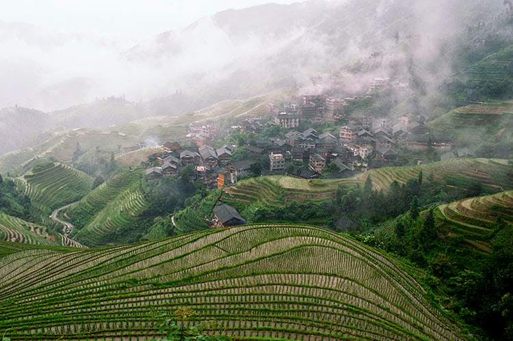 Rice Terrace, Guilin China