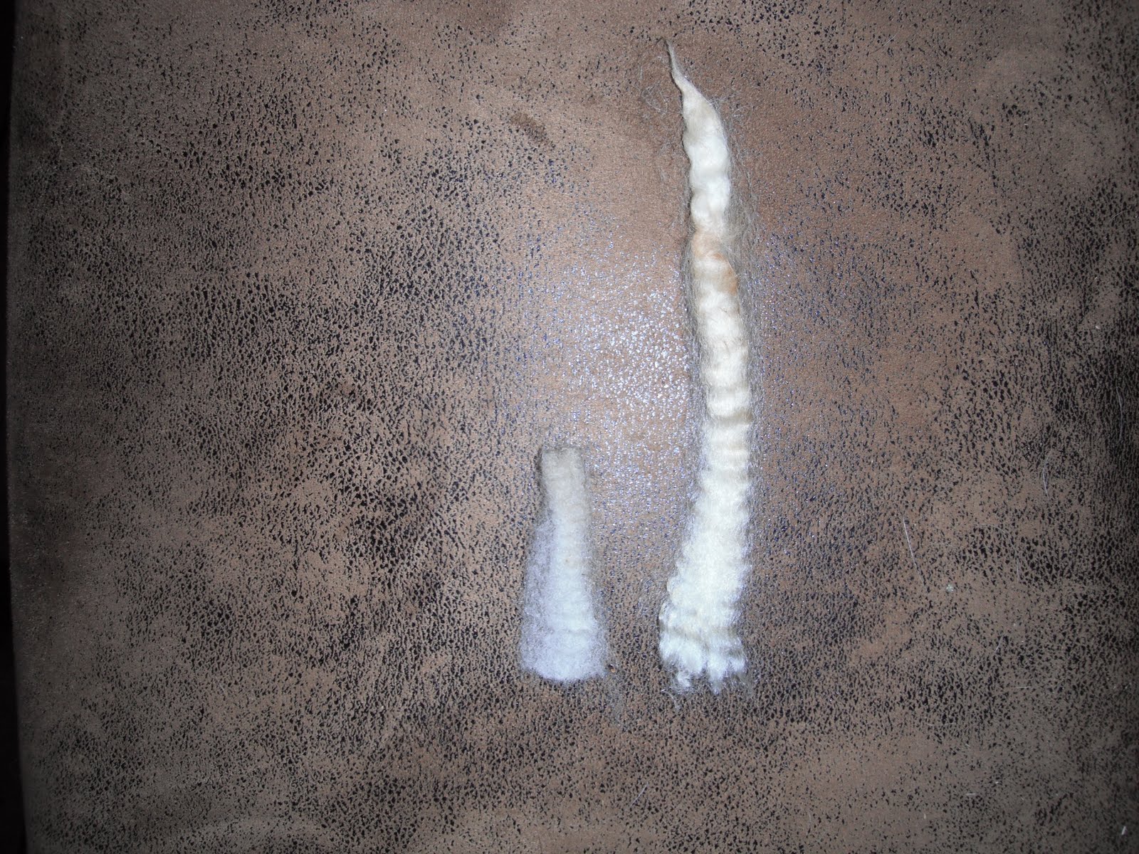 of fiber from Romney sheep