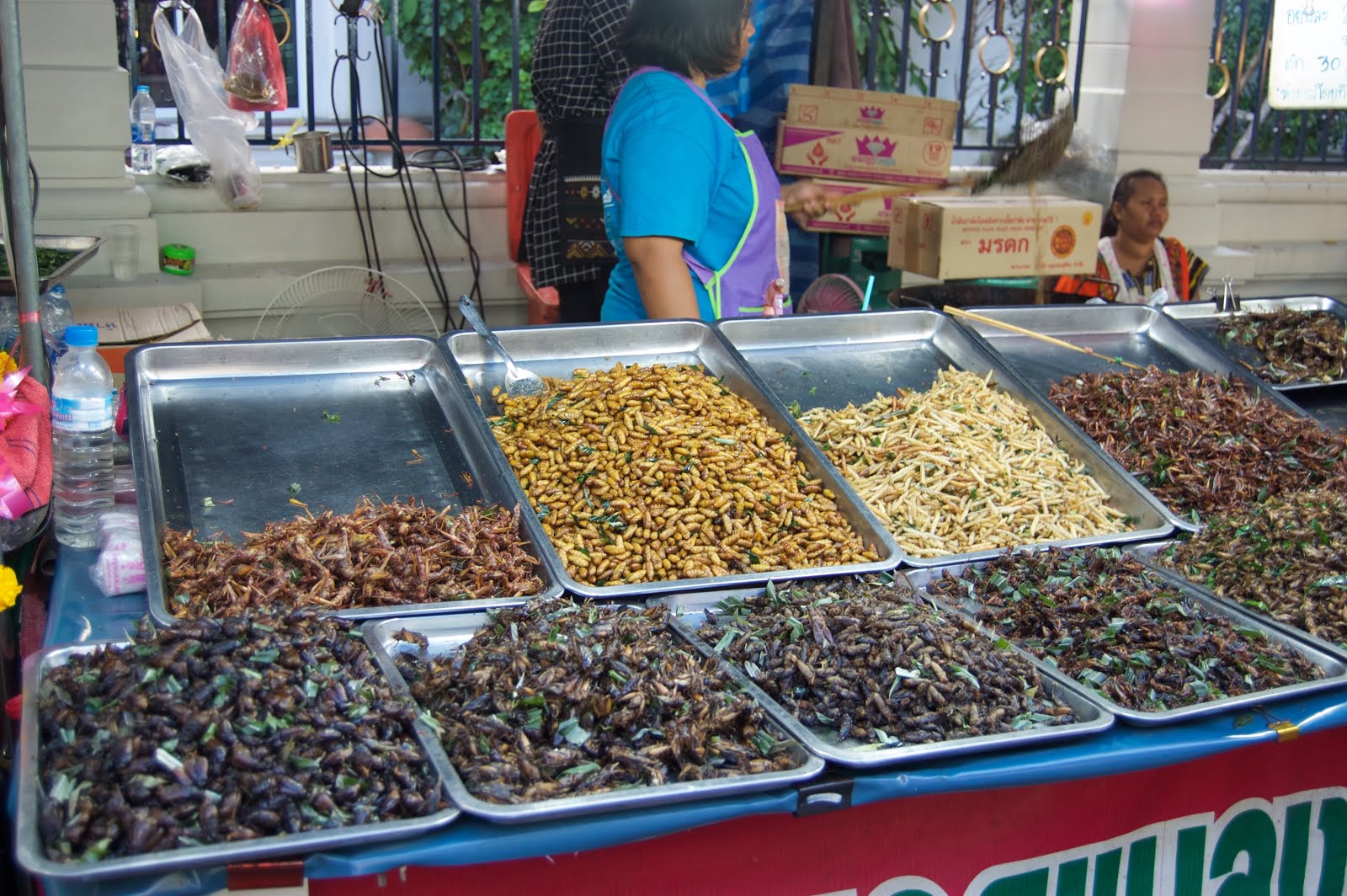 Dried bugs in the Market in Bangkok