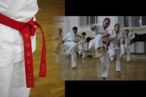 karate traditional