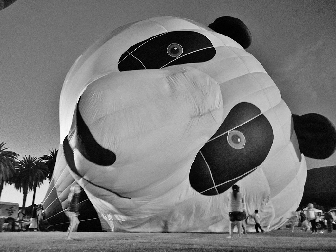 Panda Hot Air Balloon