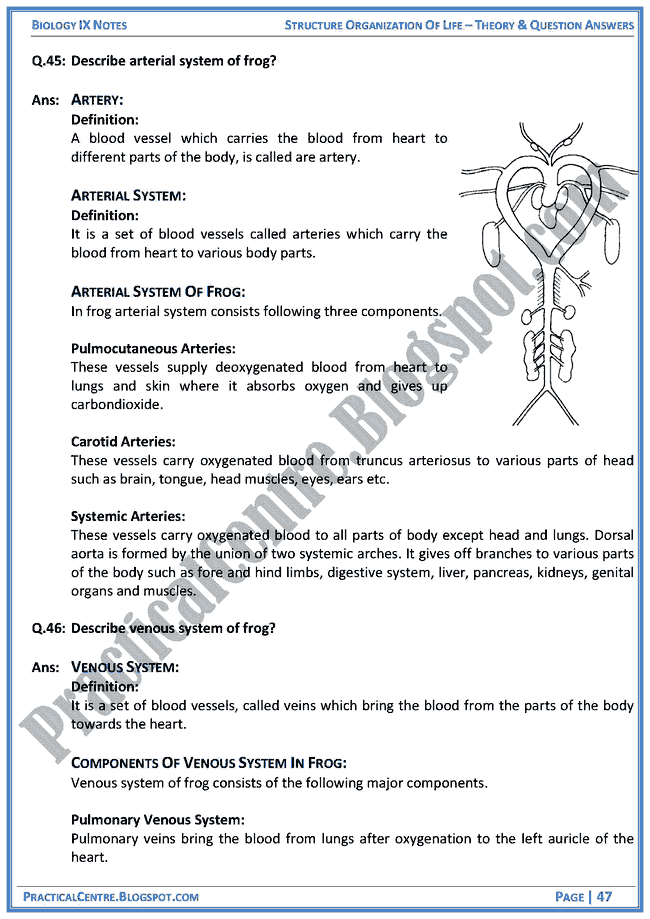 structural-organization-of-life-theory-and-question-answers-biology-ix