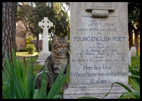 32+ Keats Grave Rome Background