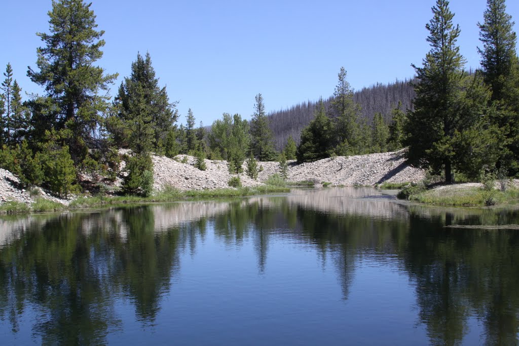 Knotty Pine Ranch Warren, Idaho