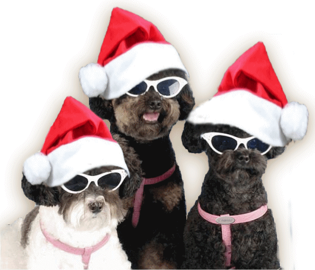 Chi-kos: Gifs de Animales en Navidad