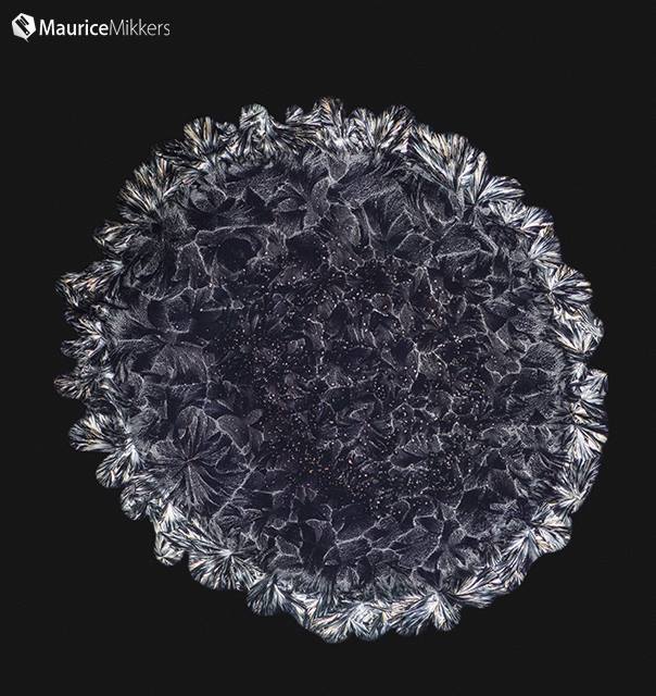 Microscopy image of Aspirin under a Polarizing Microscope
