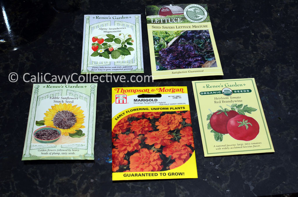 Cali Cavy Collective a blog about all things guinea pig Vegetable