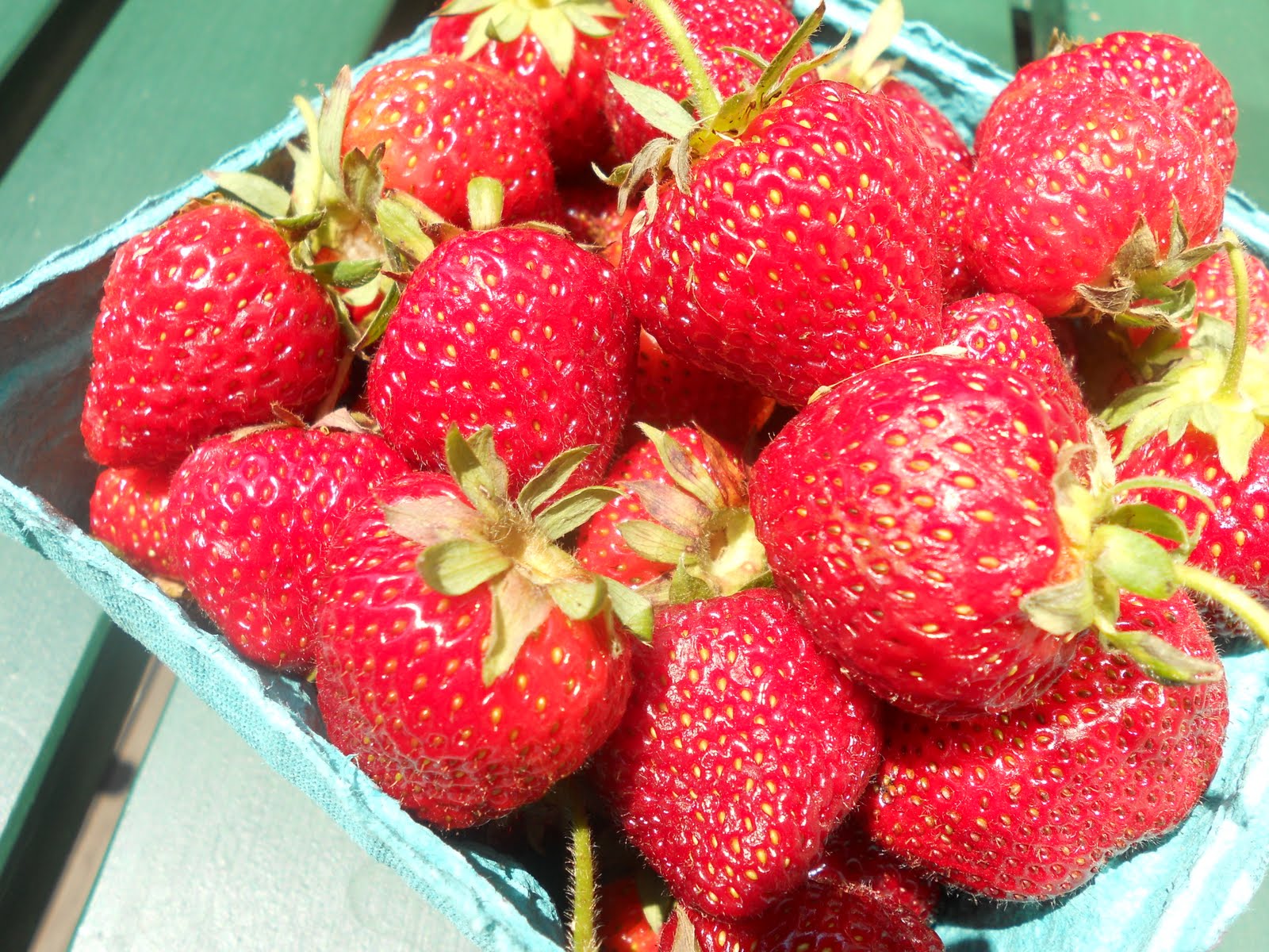 Local Strawberries are Best, Right? JustOneDonna