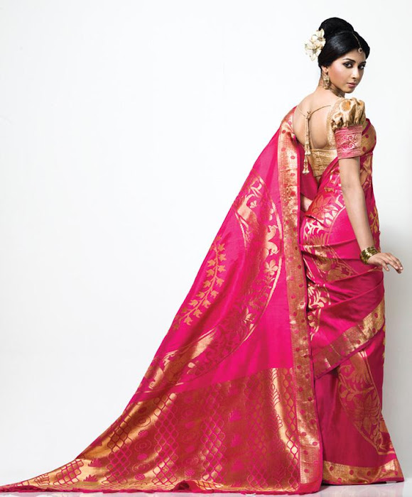 gayathiri wonderful saree ad collections 2012 actress pics