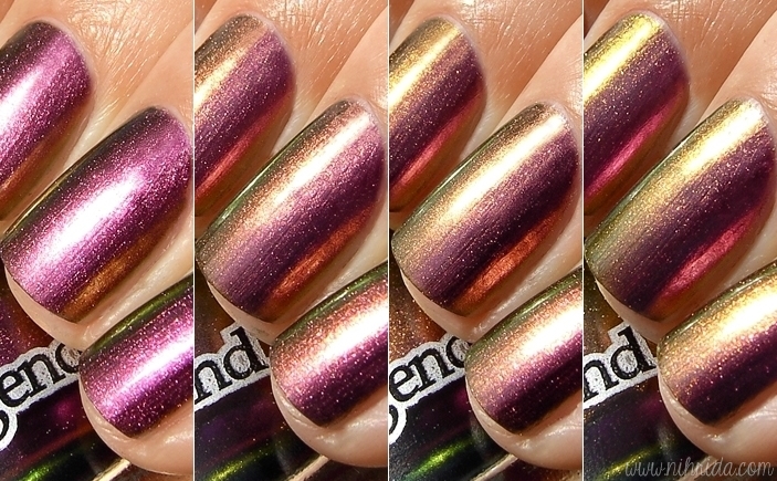 Dance Legend Chameleon Collection - Roz