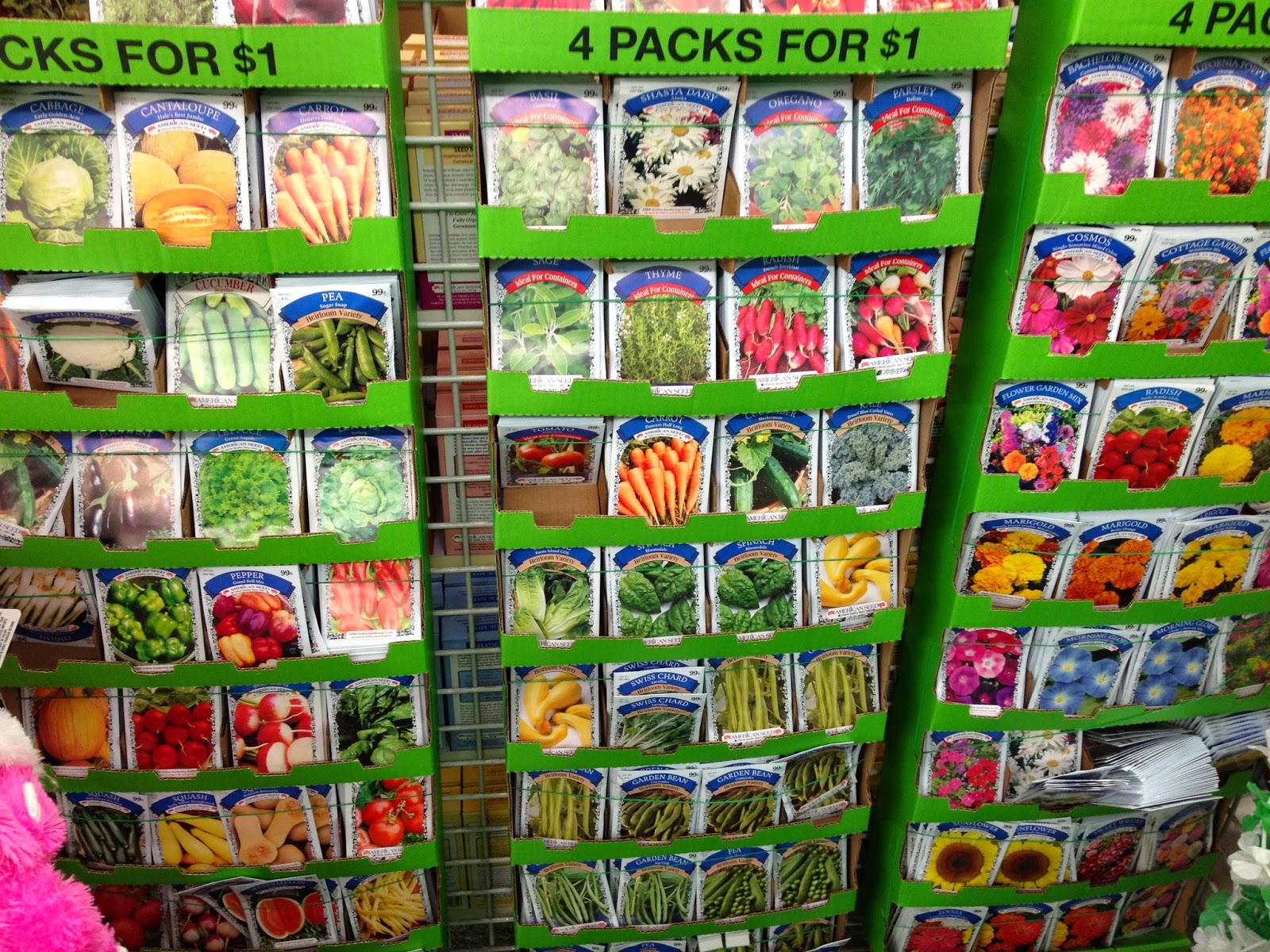 Bonz Blogz Dollar Tree Goodies