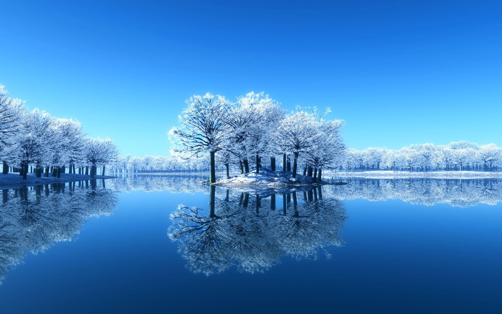 White Tree Wallpapers