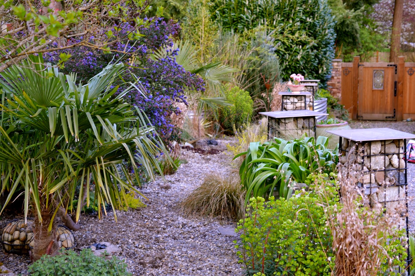 Bonney Lassie: End of the Month View, March, 2015 -- The Gravel Garden