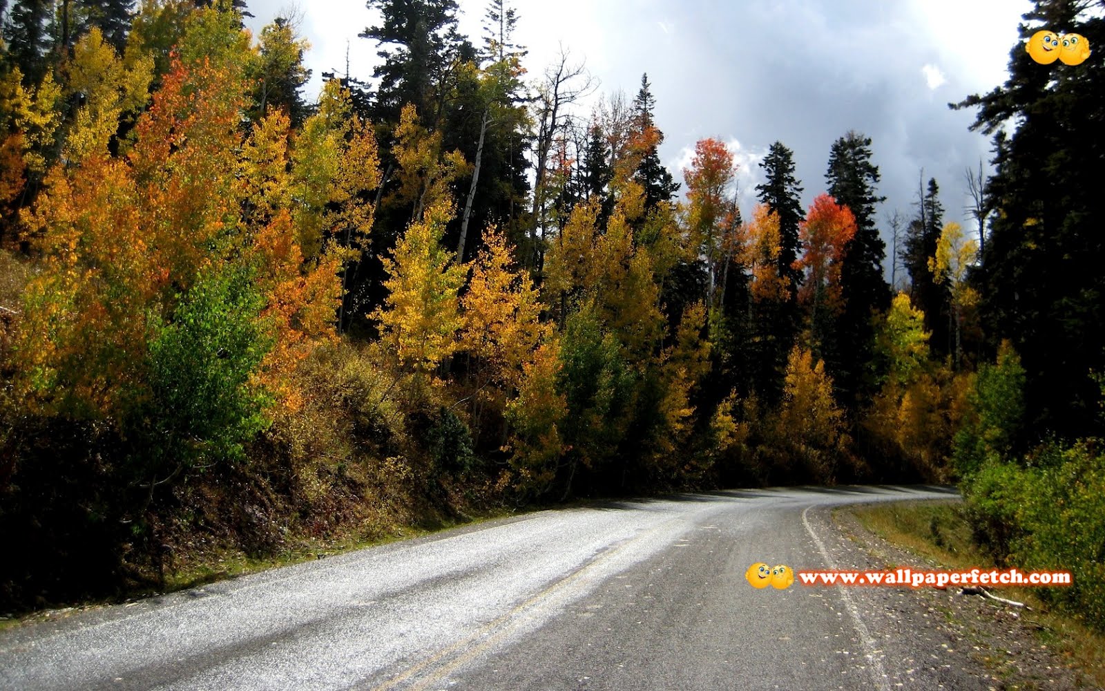 Wallpaper Fetch: 55 Beautiful HD Nature Wallpapers