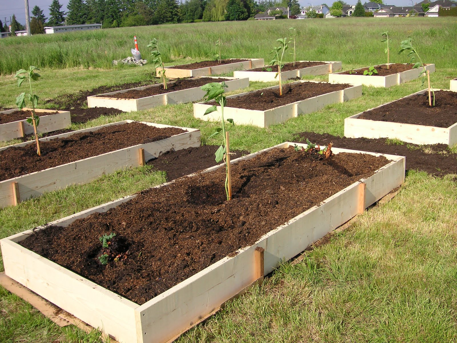 Our New Community Children's Garden is Built!