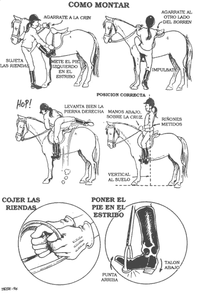 La osteocondrosis sheyno lopatochnyy