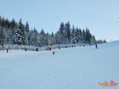 Partia de Schi Toplita