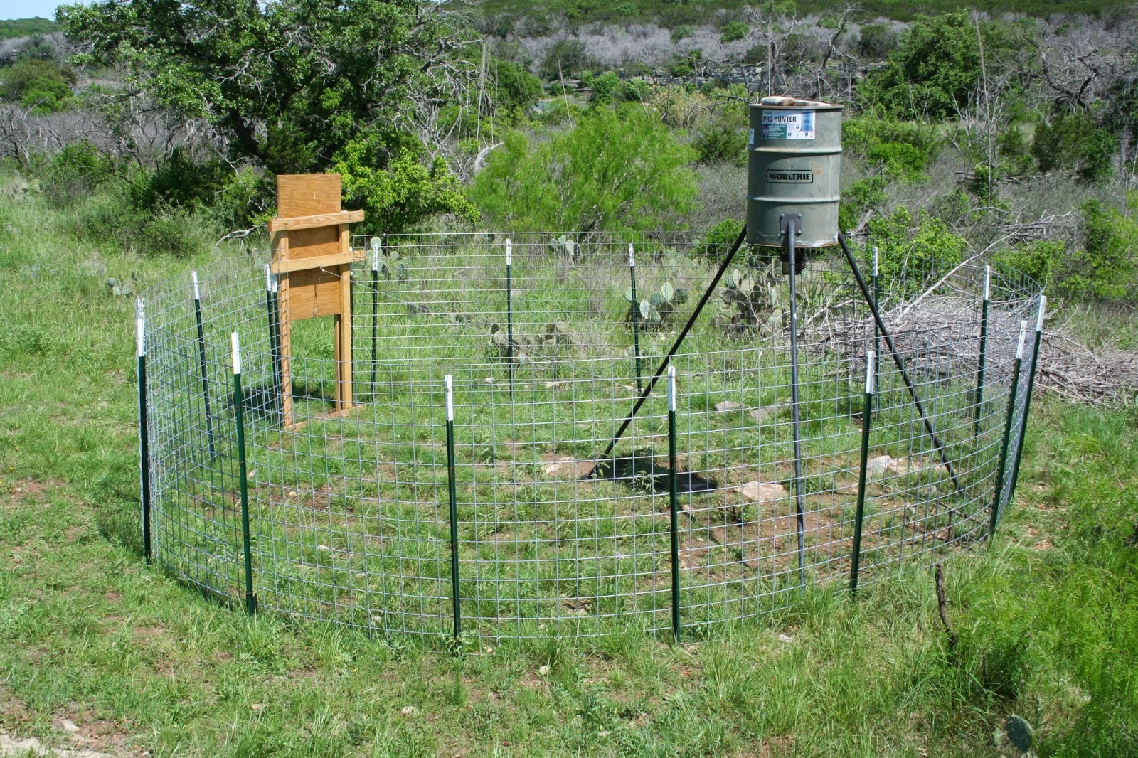 Homemade Wild Hog Feeders Homemade Ftempo