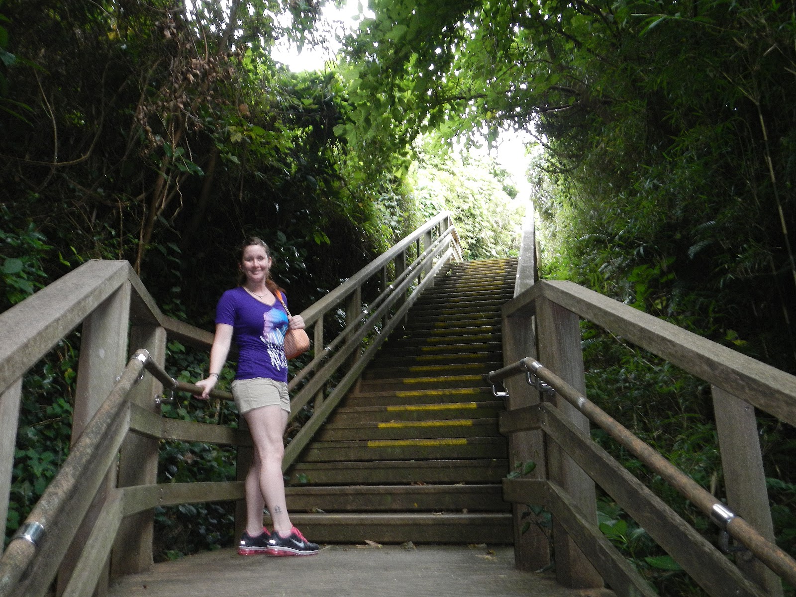 Adventures in Yokosuka Monkey Island