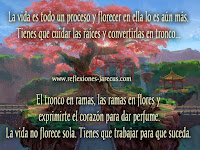 Es preciso florecer ahí, donde la vida nos ha plantado Reflexiones de Vida,