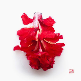 10-Lim-Zhi-Wei-Limzy-Paintings-using-Flower-Petals-www-designstack-co