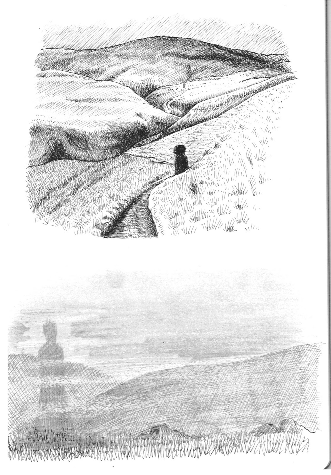 Sunny Side Up Half Day, Half Night