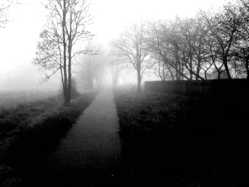 Nada Surf The Stars Are Indifferent To Astronomy Rapidshare Movies