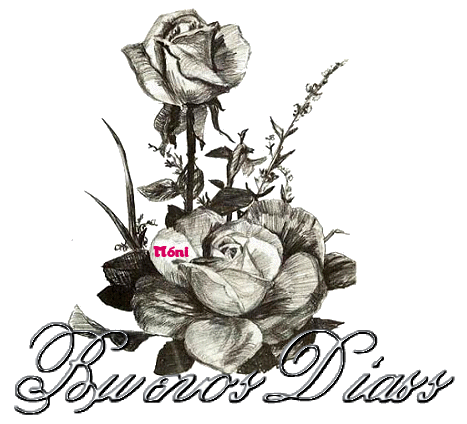 Imágenes de rosas negras fotos de rosas negras 1
