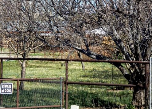 A Guide To Northeastern Gardening