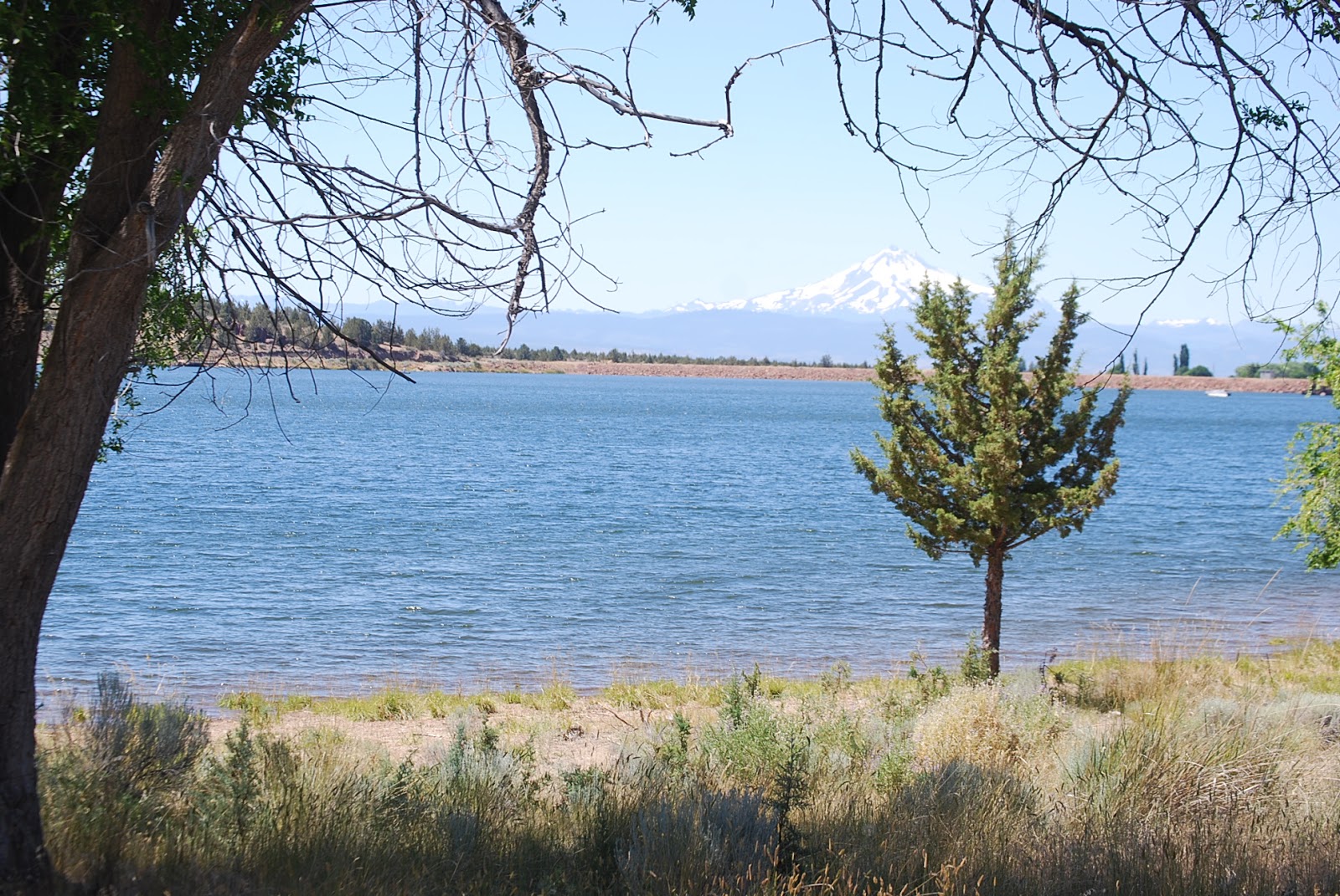 Wilamar Farm Haystack Reservoir