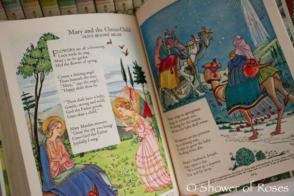 Secret History Of Nursery Rhymes Book