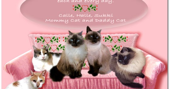 Happy valentine's day! Jacqueline's Cat House: Happy Valentine's Day!