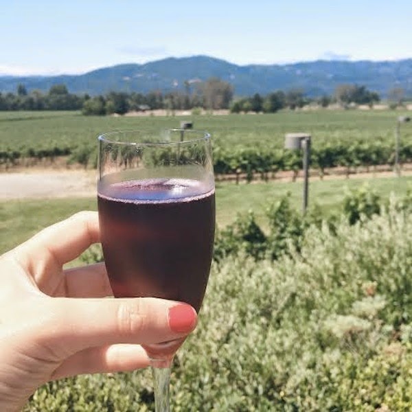 a guide to the napa valley 