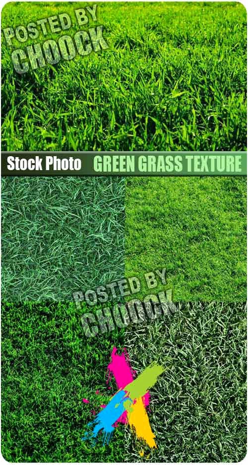 grass texture